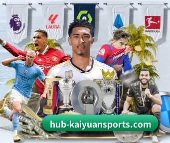 hub-kaiyuansports.com APP